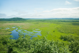 Kushiro Wetland National Park